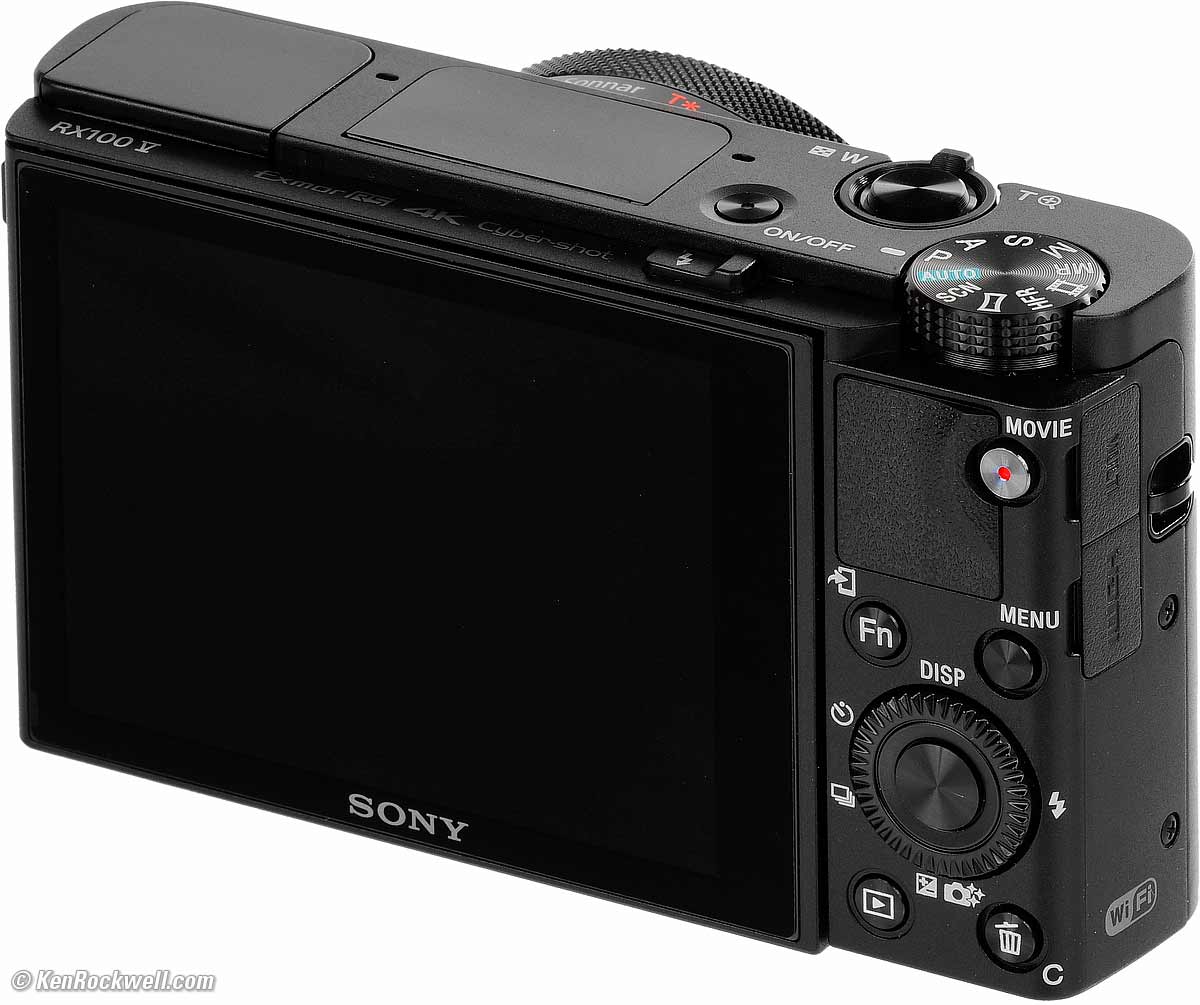 カメラ デジタルカメラ Sony RX100 Mk V Review