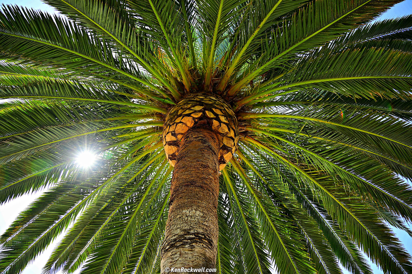 Tamron 17-70mm f/2.8 Sample Imade Files